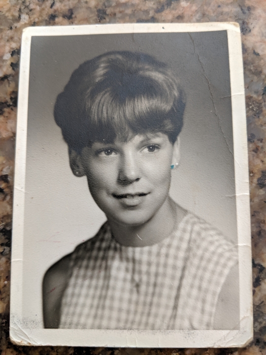 Linda Kelly - Class of 1966 - Division Avenue High School