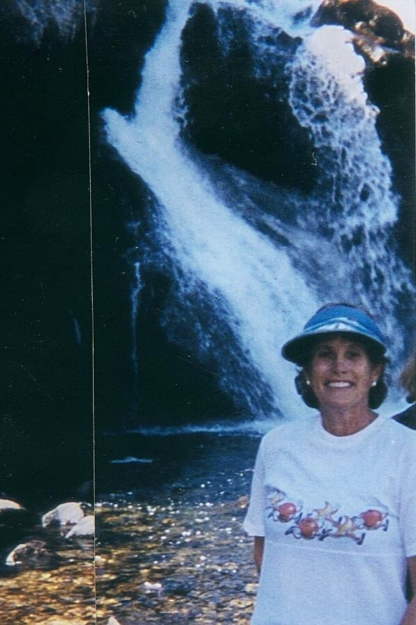 Nancy Berger - Class of 1960 - Forest Hills High School