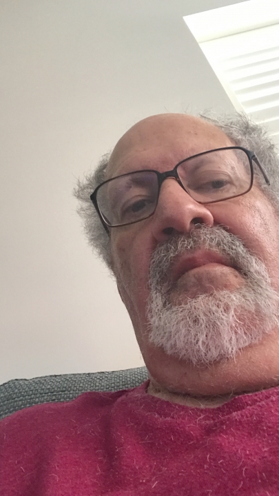 Jay Rosen - Class of 1965 - Martin Van Buren High School