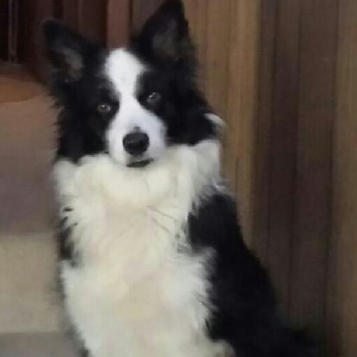 Jodi Guy - Class of 1984 - Columbia High School