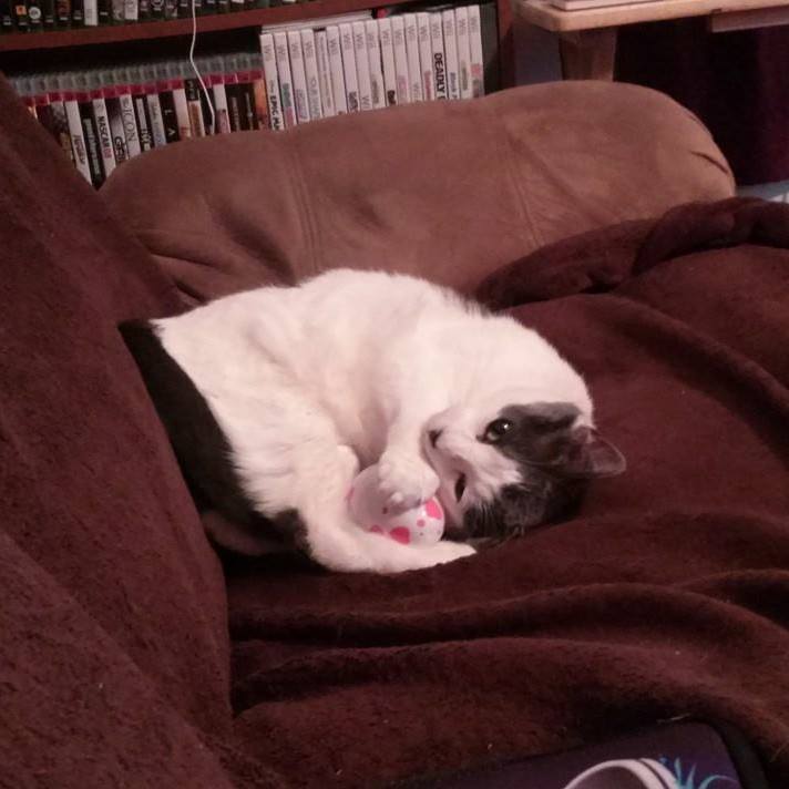 Andree Leblanc - Class of 1996 - Burlington High School