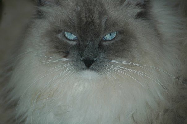 Steven Green - Class of 1973 - Brick Township High School