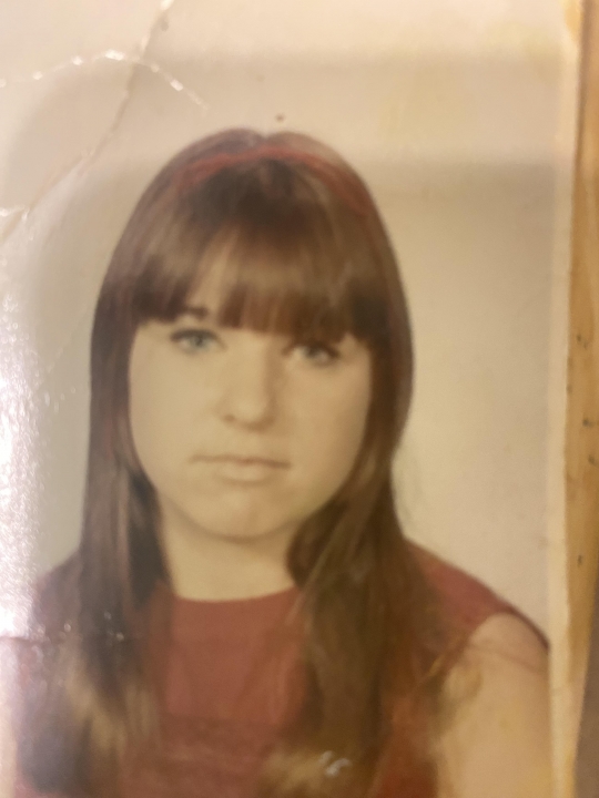 Renee Driscoll Renee Cunningham - Class of 1971 - Earl L Vandermeulen High School