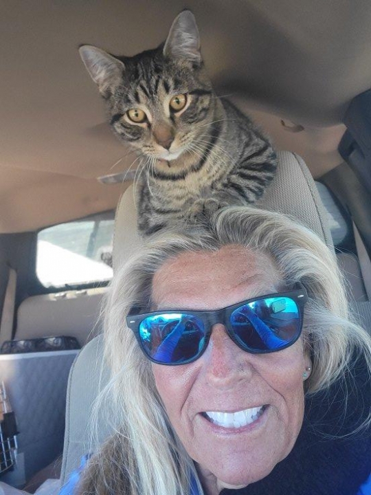 Jo-beth Markman - Class of 1971 - Huntington High School