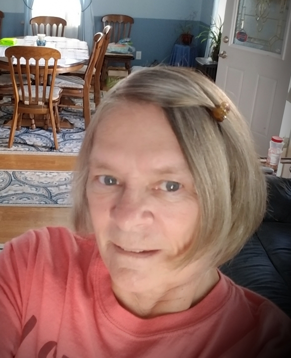 Deborah Young - Class of 1968 - Frontier Central High School