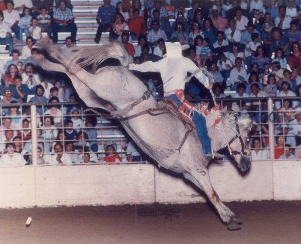 Gregory Hebb - Class of 1979 - Trinity High School