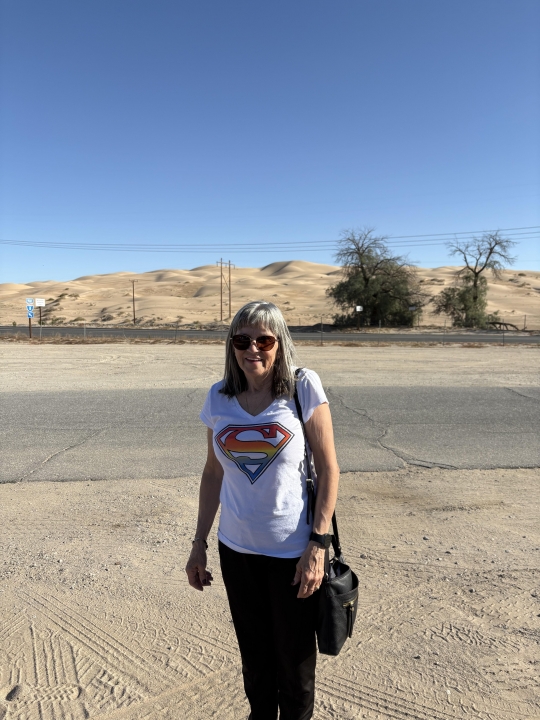 Donna Donna Perugini - Class of 1973 - West Hempstead High School