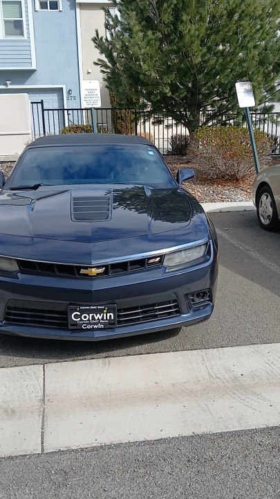 Damon Adonis Hammonds - Class of 1988 - Hollywood High School