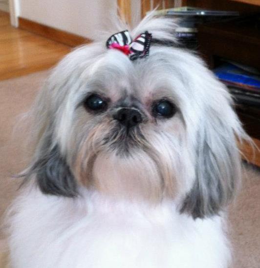 Jill Bonenfant - Faculty - Fort Mcmurray Composite High School