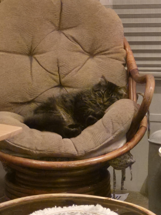 Marki Thomas - Class of 1980 - Burnaby South Secondary High School