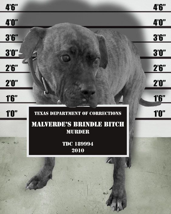 Malverde Kennels - Class of 1994 - East Aurora High School