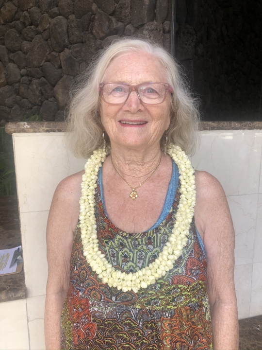 Linda Meyer - Class of 1961 - Abraham Lincoln High School