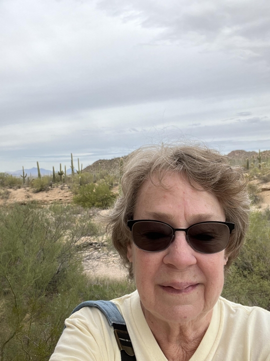 Marybeth Gray - Class of 1973 - Abraham Lincoln High School