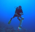 Steven K. Widener