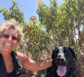 Cynthia/cindy Lackow