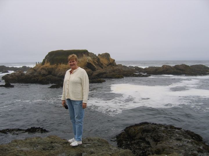 Charlotte Norton - Class of 1984 - Brighton High School