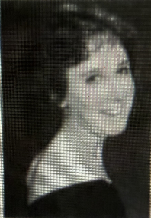 Dana Burnside - Class of 1986 - R.L. Turner High School