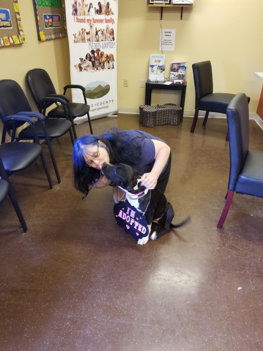 Dona Strait - Class of 1979 - J.j. Pearce High School