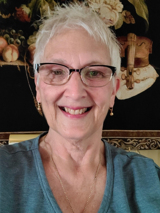 Lisa Strohmeier - Class of 1973 - Hamilton High School