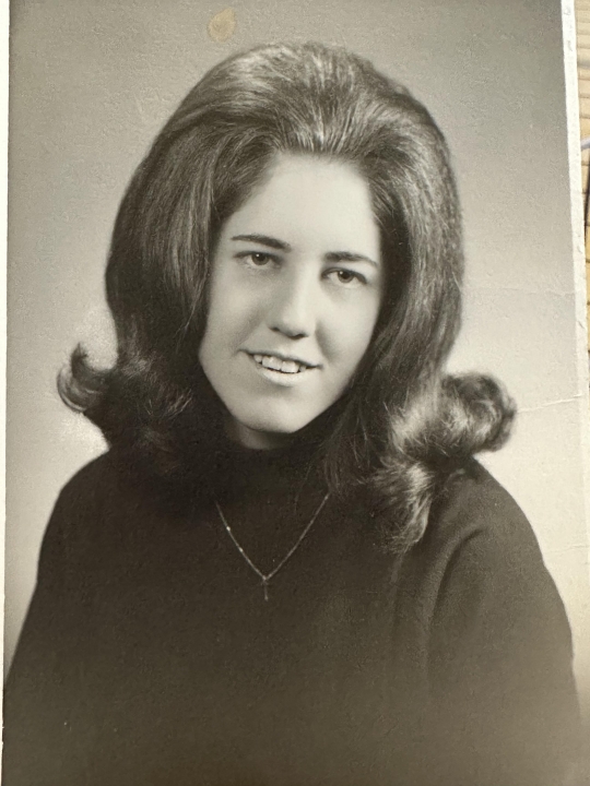 Debra Oberlander - Class of 1973 - Hamilton High School