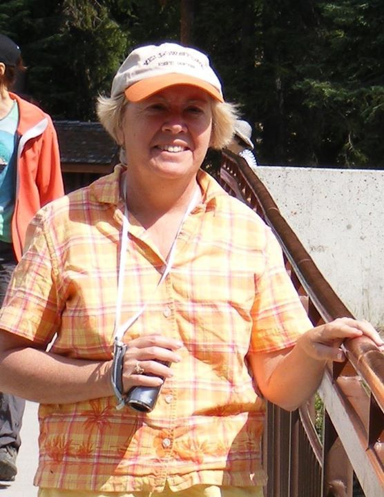 Marilyn Cook - Class of 1963 - Avon Park High School
