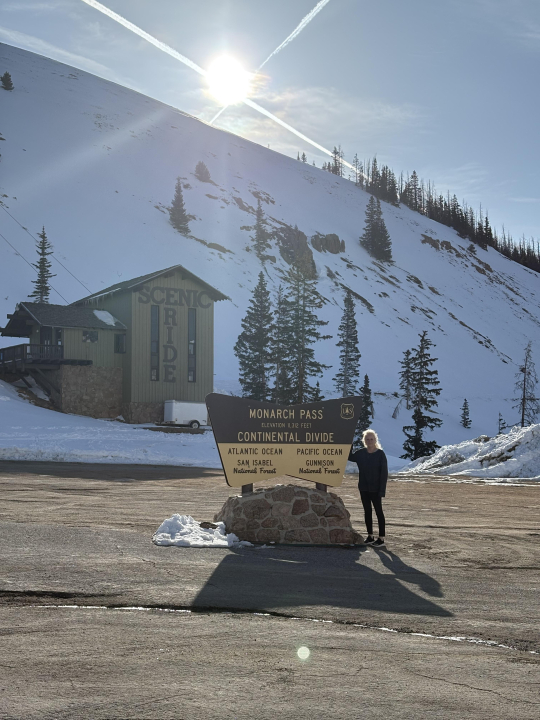 Terry Ann Fleming - Class of 1972 - North Springs High School