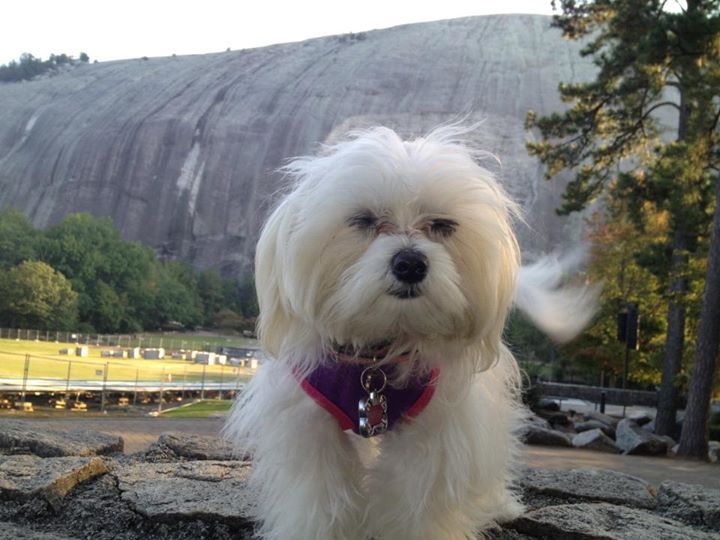 Toni Robinson - Class of 1971 - East High School