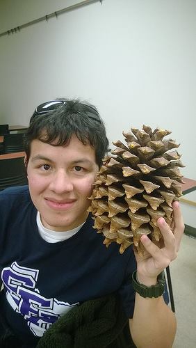 Andre Saenz - Class of 2009 - The Woodlands High School