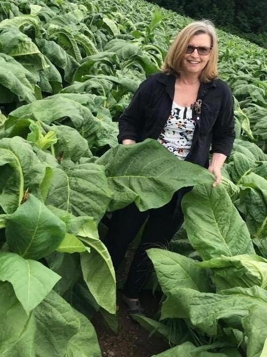Sarah Upham - Class of 1972 - Suffield High School