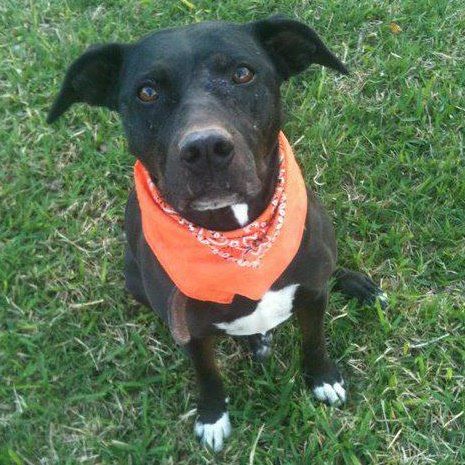 Karla Stailey - Class of 1979 - Crowley High School