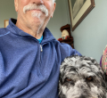 Brian Englebardt