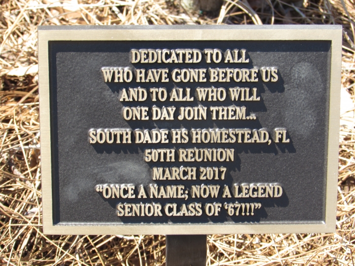Sally (Sarah) Newman - Class of 1967 - South Dade High School