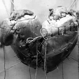 El Don - Class of 2005 - Waco High School