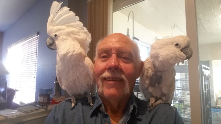 Larry Flores/ Anderson - Class of 1967 - Caprock High School