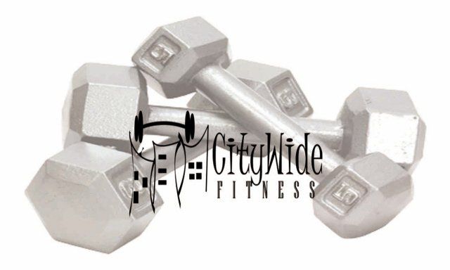 Citywide Fit - Class of 1960 - Willowridge High School