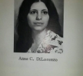 Anne Dilorenzo