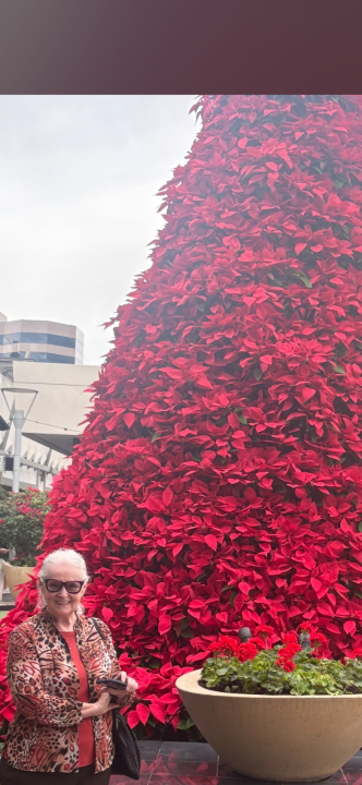 Mary Longaphie - Class of 1964 - Harrison Trimble High School