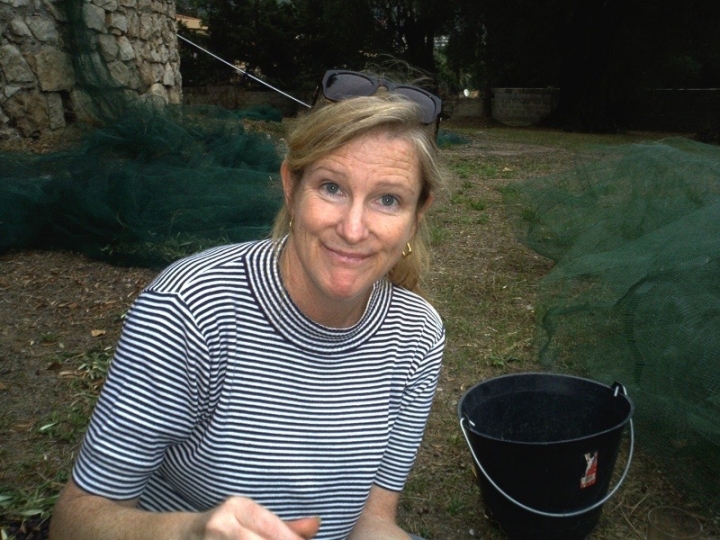 Meghan Ducey - Class of 1974 - Staples High School