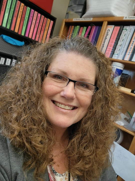 Michelle Perniciaro - Class of 1986 - DeLand High School