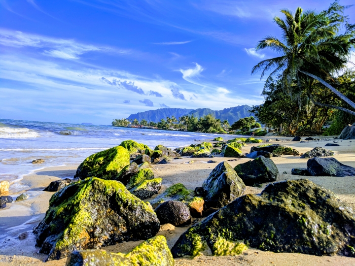 Randolph Villanueva-ahue - Class of 1984 - Orange Park High School