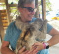 Tammy Perger