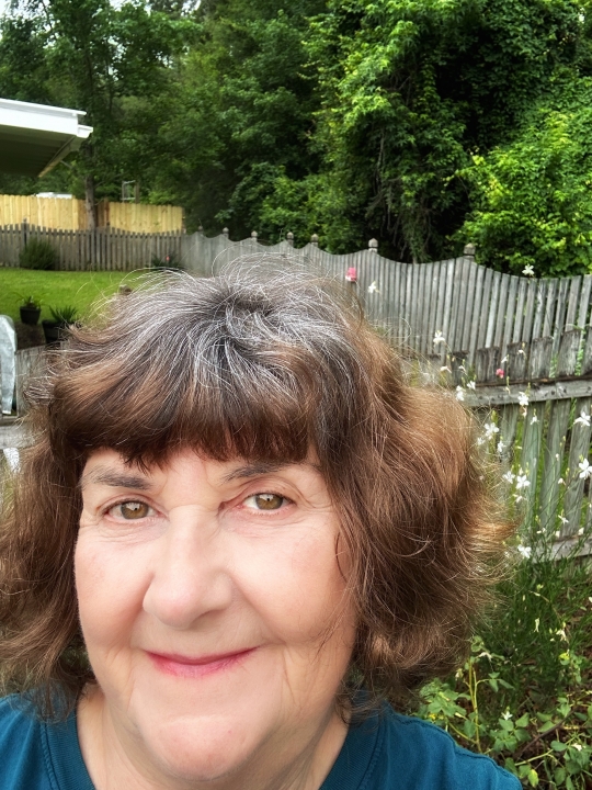 Leann Sechowski - Class of 1977 - Northeast High School
