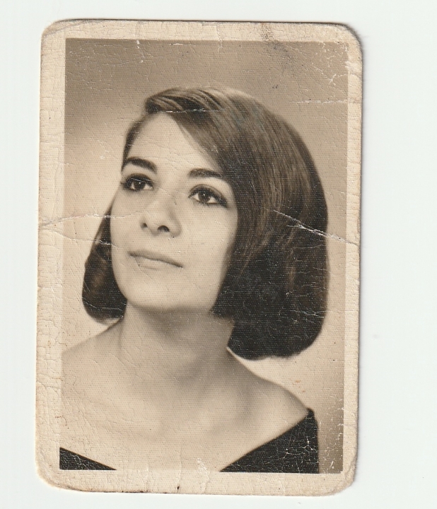 Theresa Vitro - Class of 1966 - Upper Merion High School
