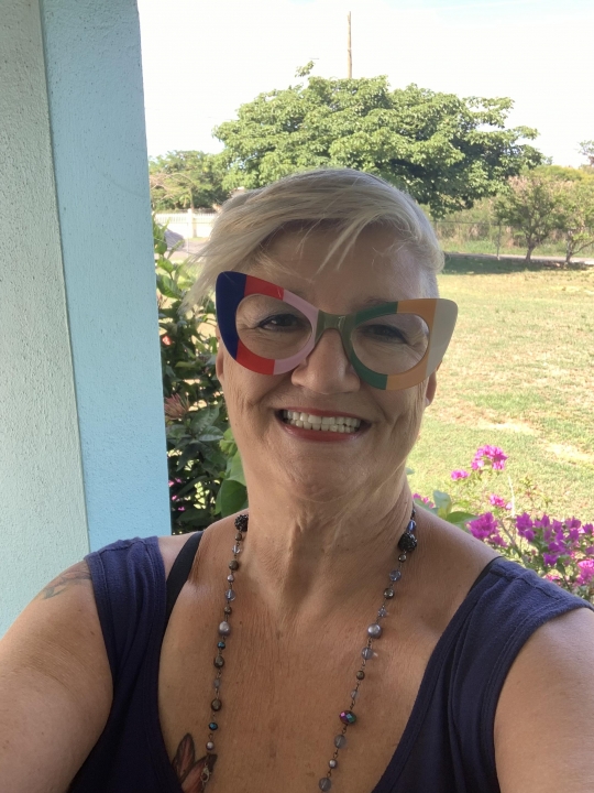 Barbara Wheeler - Class of 1970 - Mt Lebanon High School