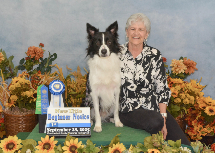 Nicola Forsythe - Class of 1970 - Pine-richland High School