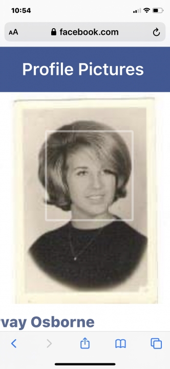 Beth Arvay - Class of 1965 - Monroe High School