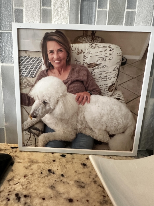 Tamera Converse - Class of 1977 - Eaton Rapids High School