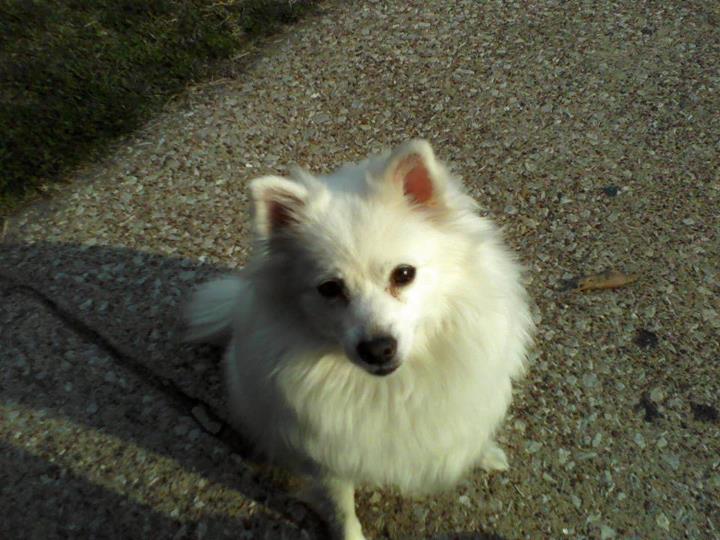 Teressa Jack - Faculty - East High School