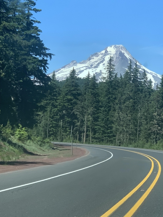 Anne Mundell - Class of 1976 - Glenbard West High School
