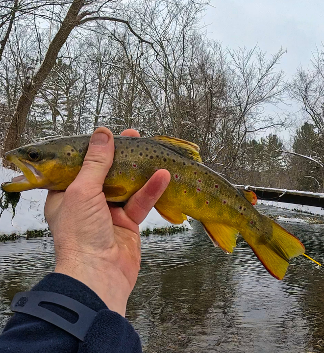 Mike Rose - Class of 1985 - Stillwater High School
